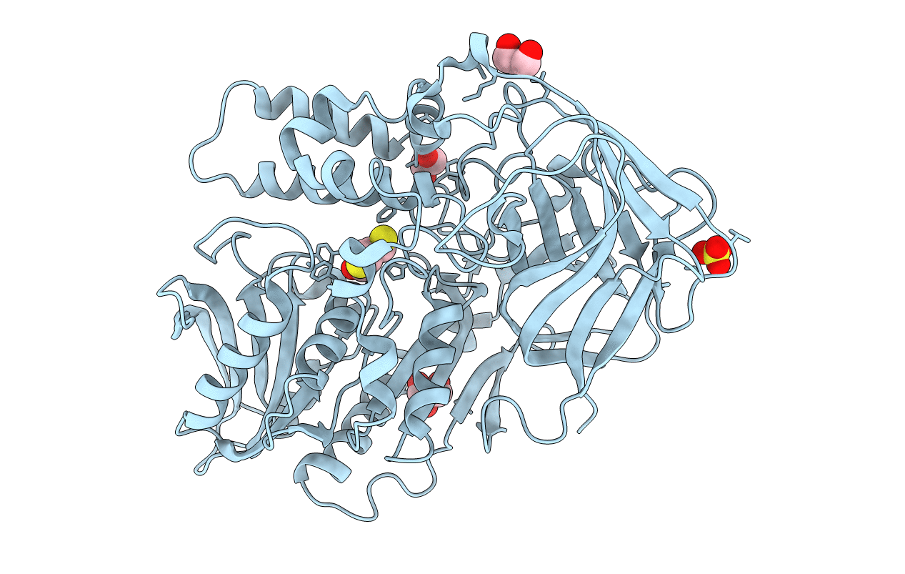 3I2F image