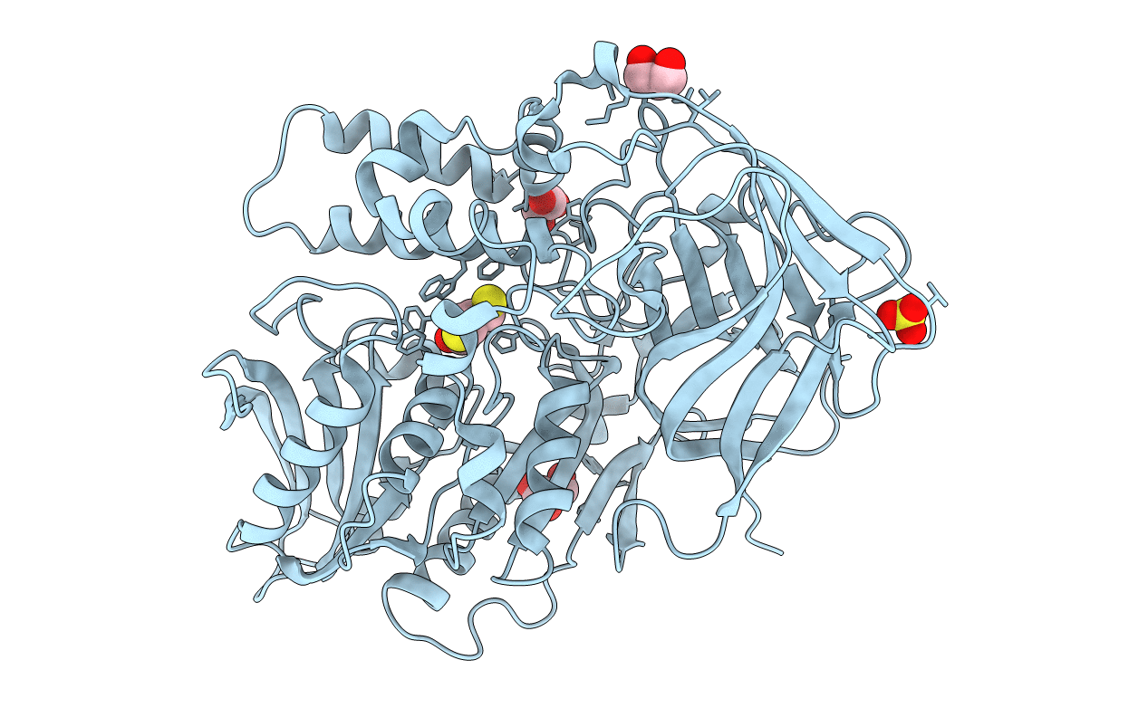 3I2G image
