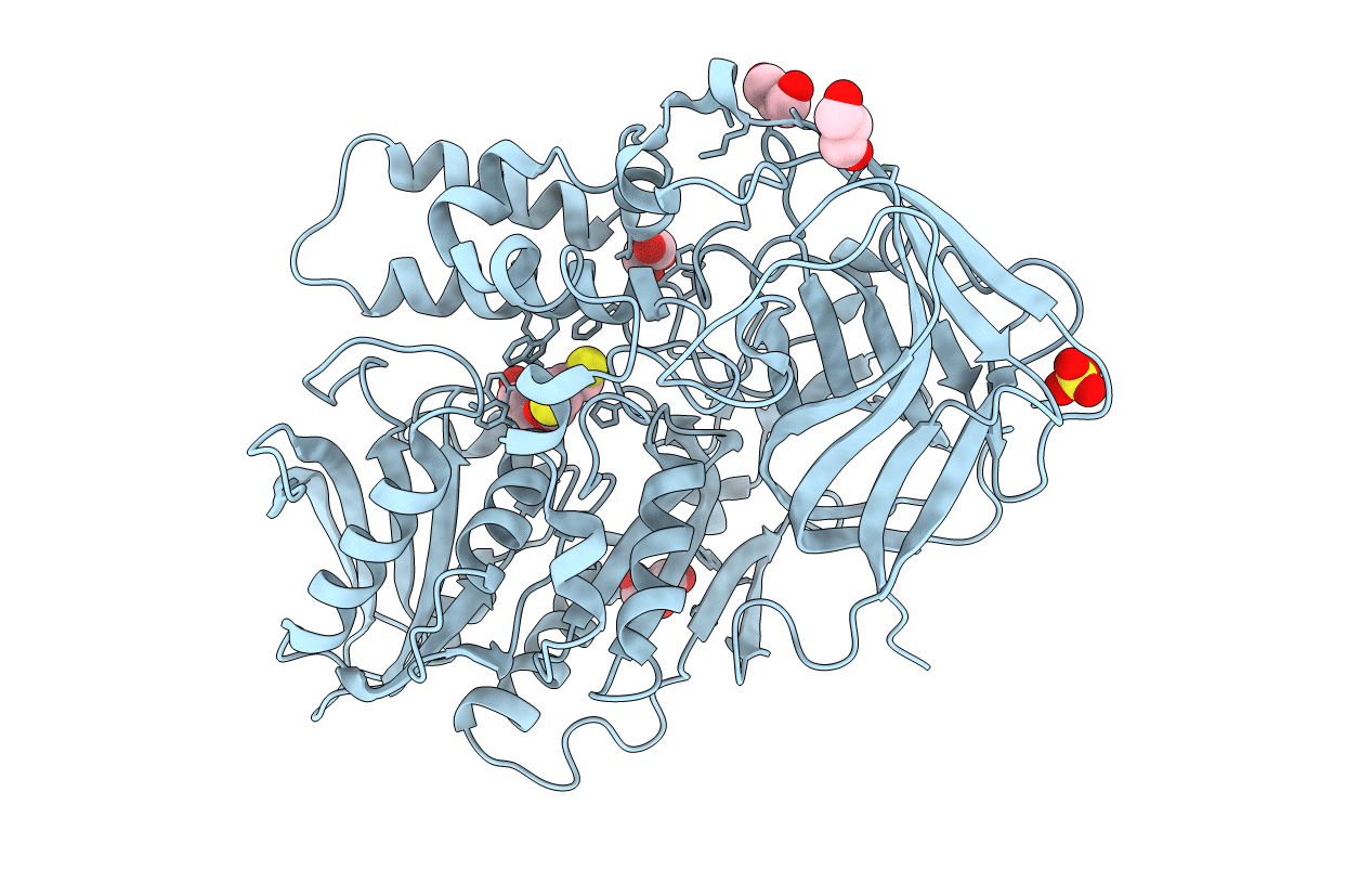 3I2H image