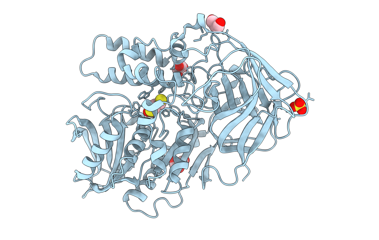 3I2I image