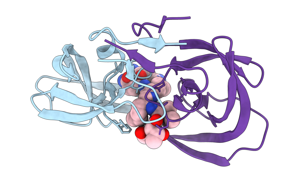 3I2L image