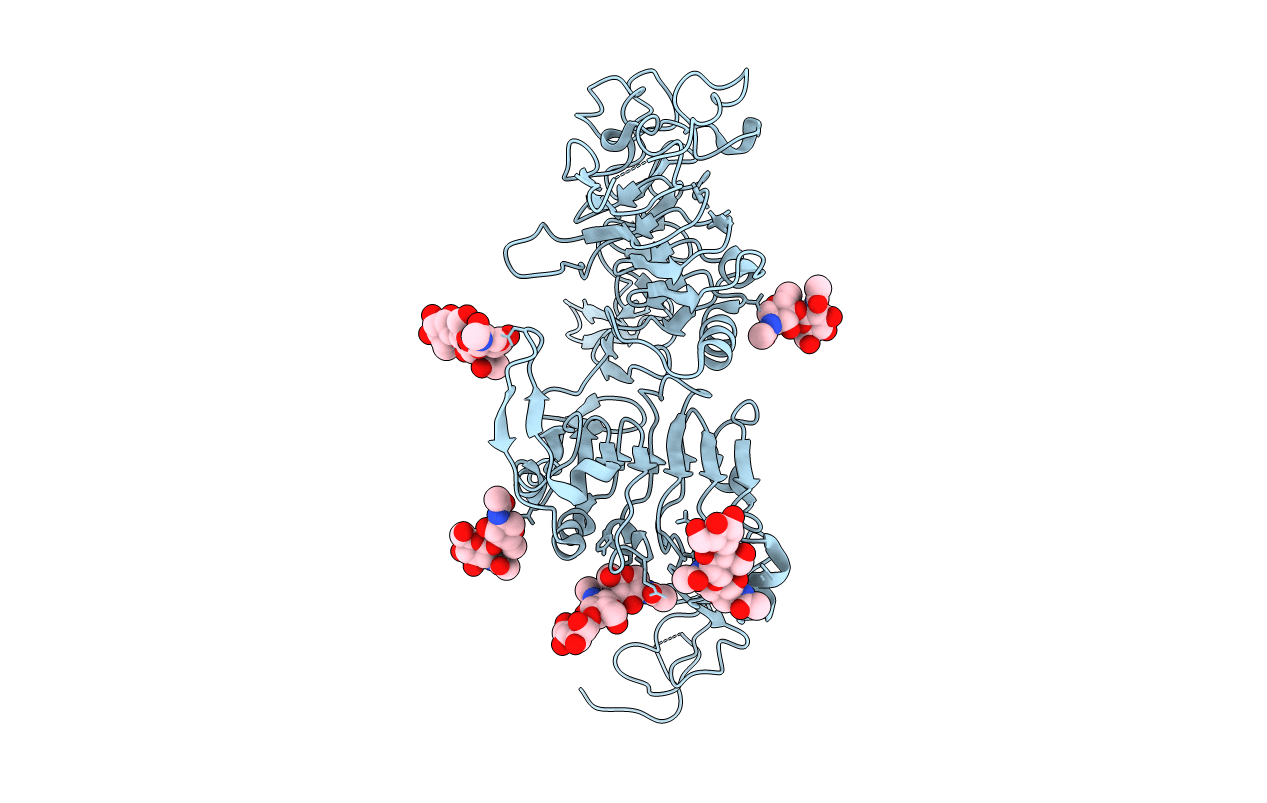 3I2T image