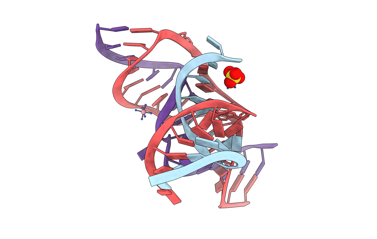 3I2U image