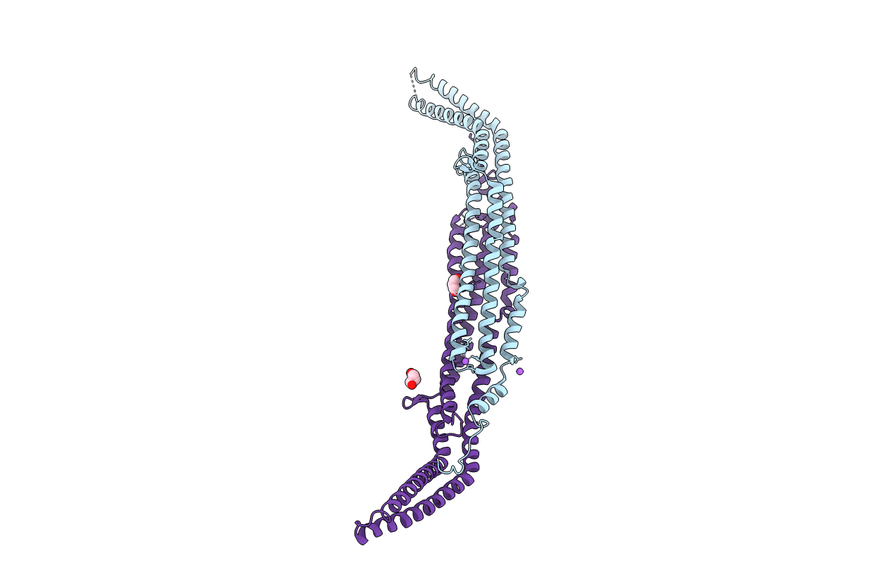3I2W image