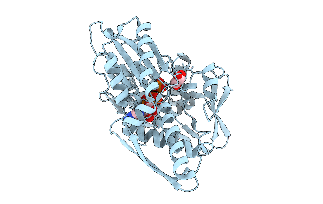 3I33 image