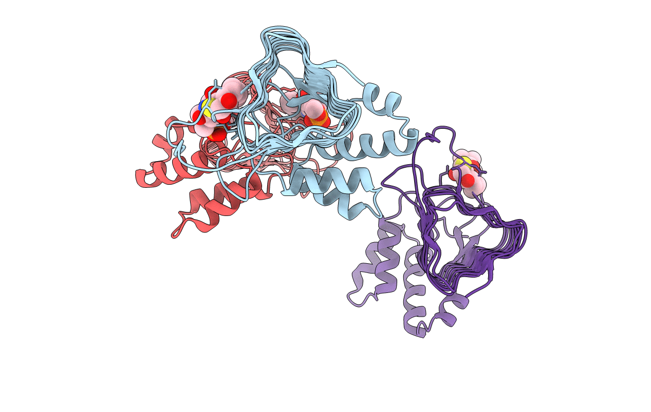 3I3A image
