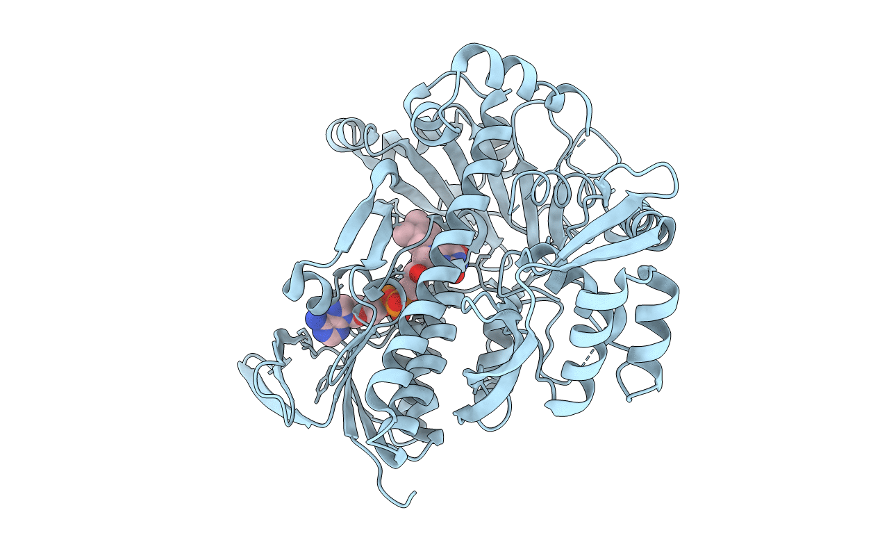 3I3L image