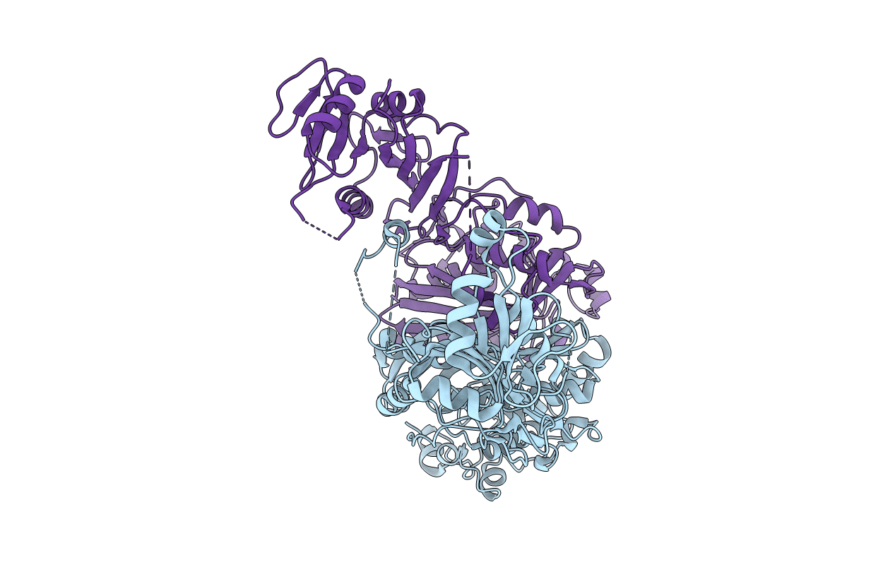 3i3r image