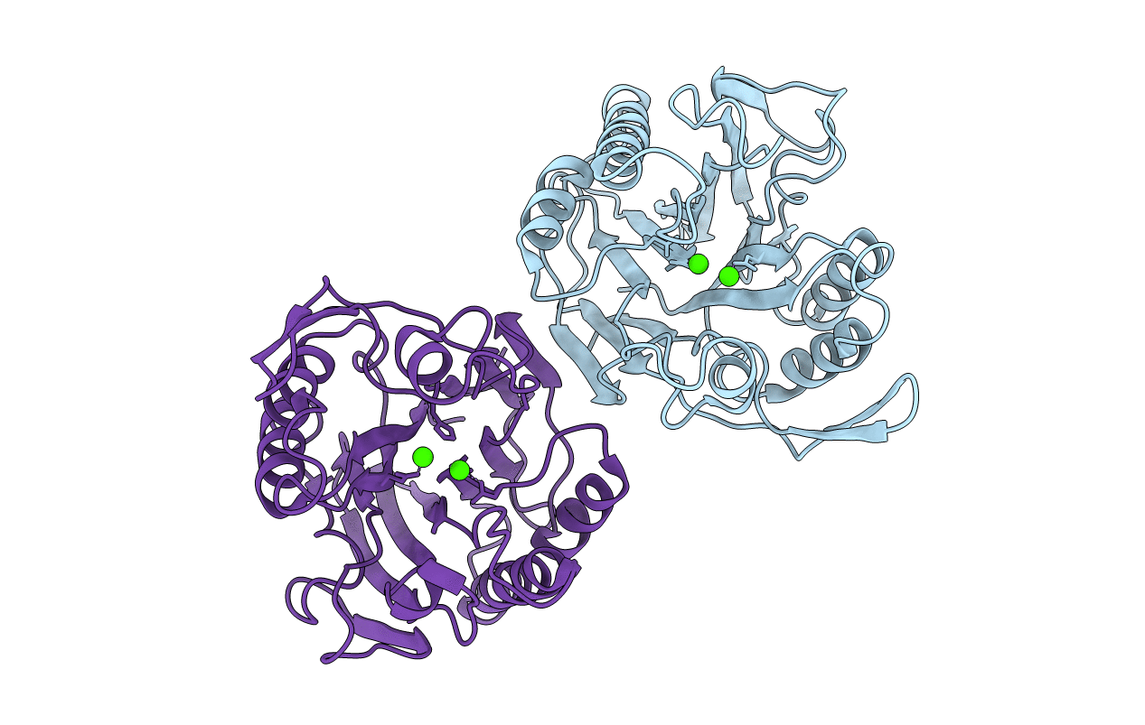3I46 image