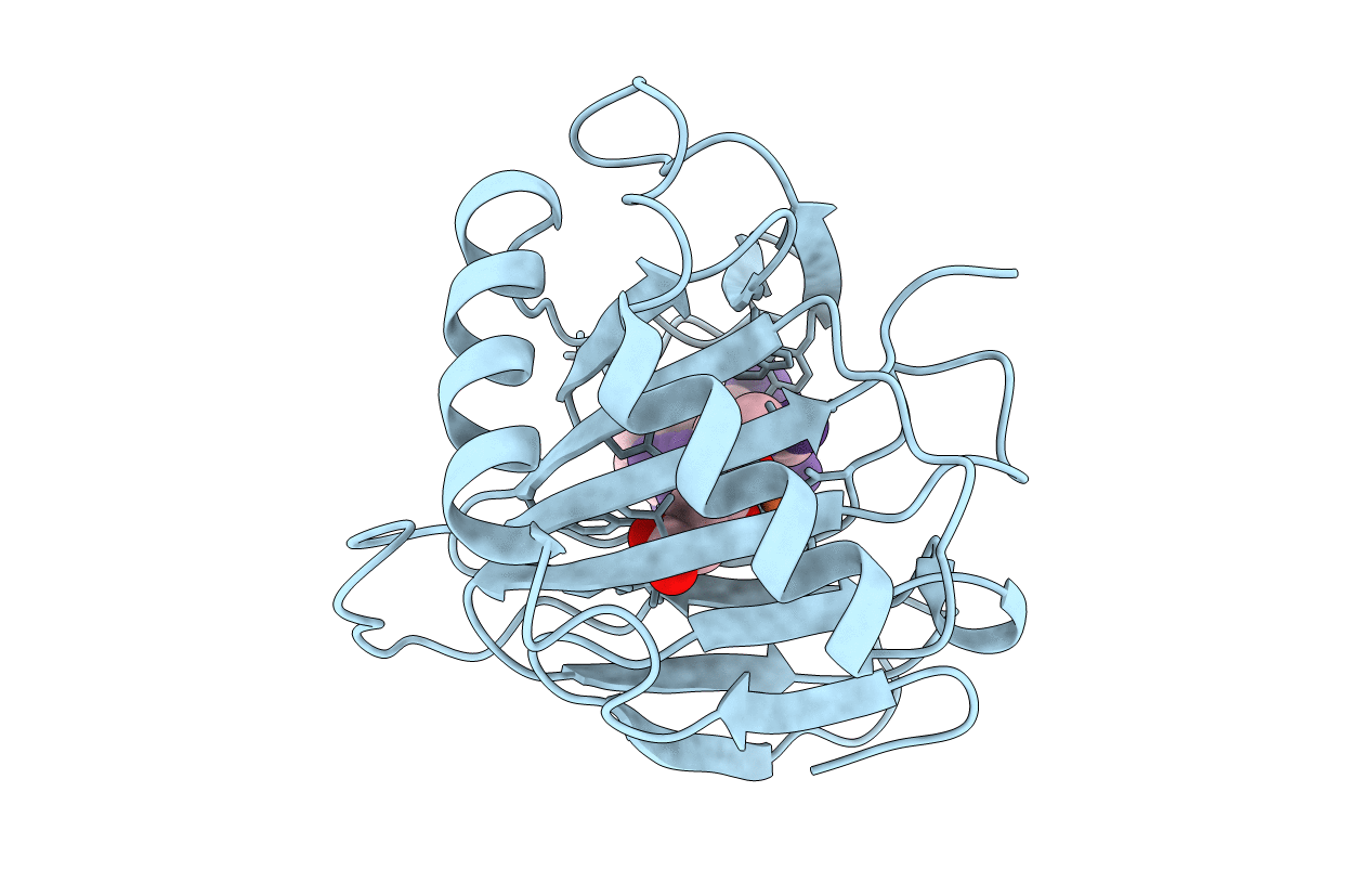 3I49 image