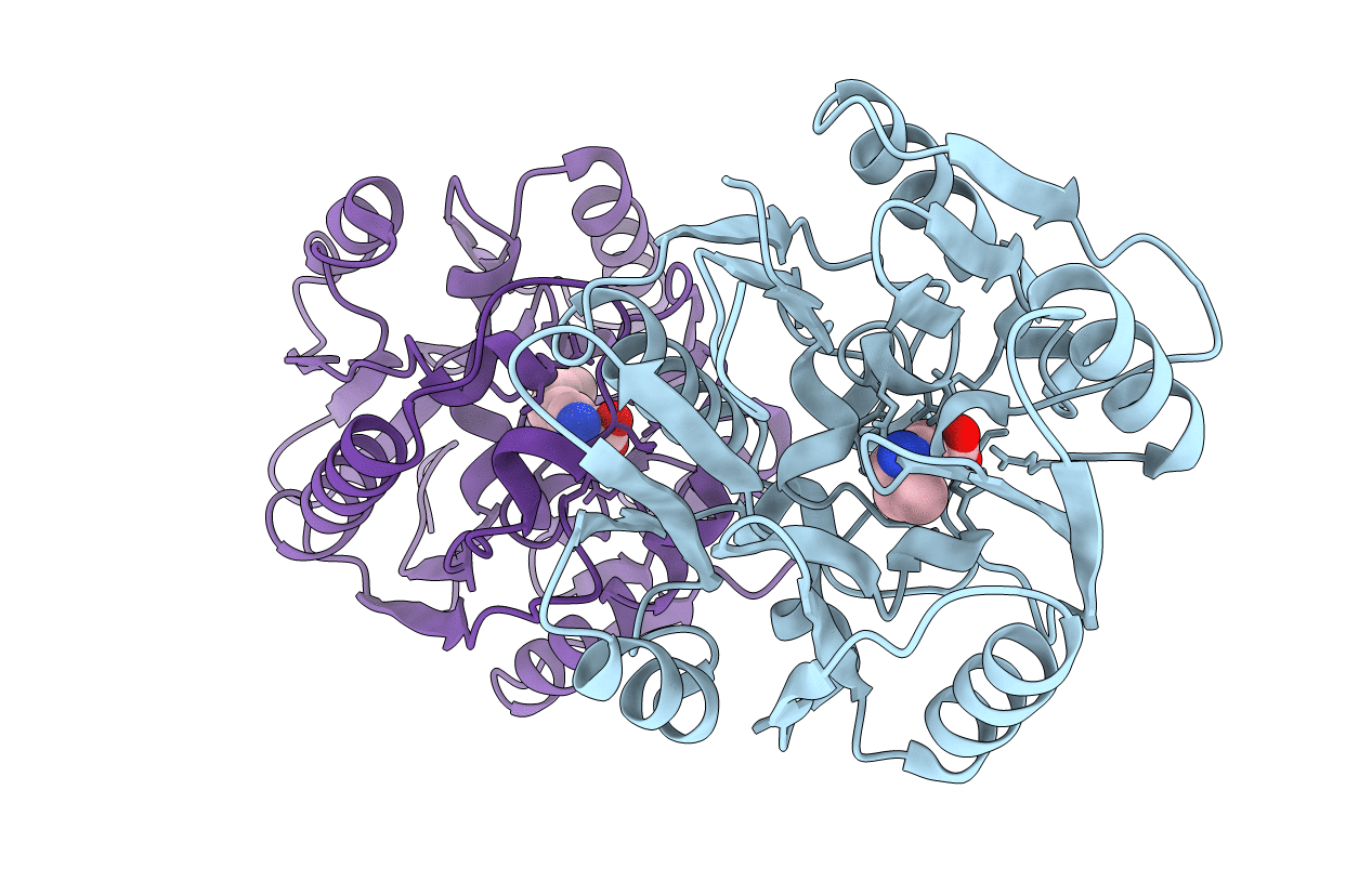 3I4A image