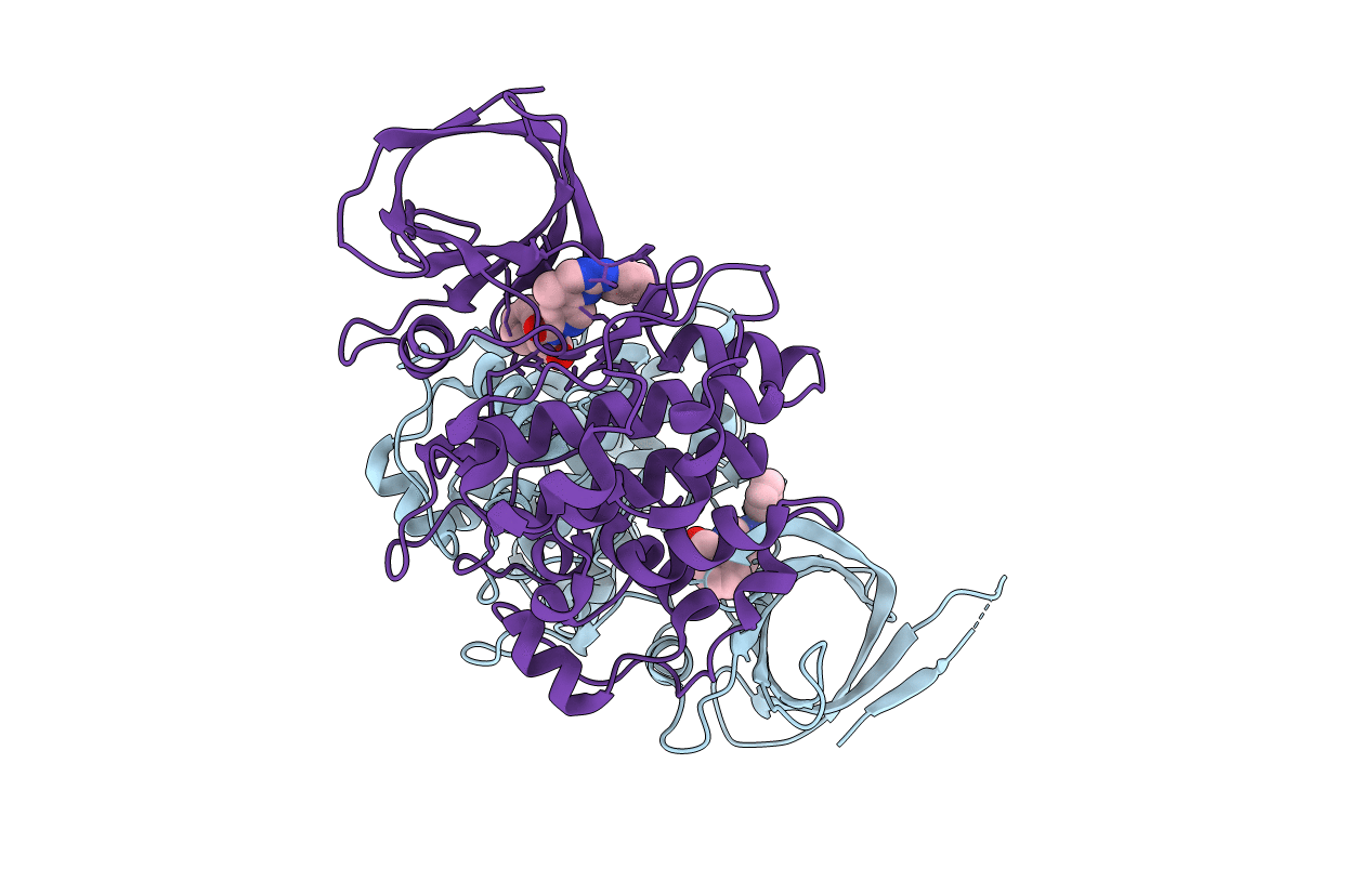 3I4B image
