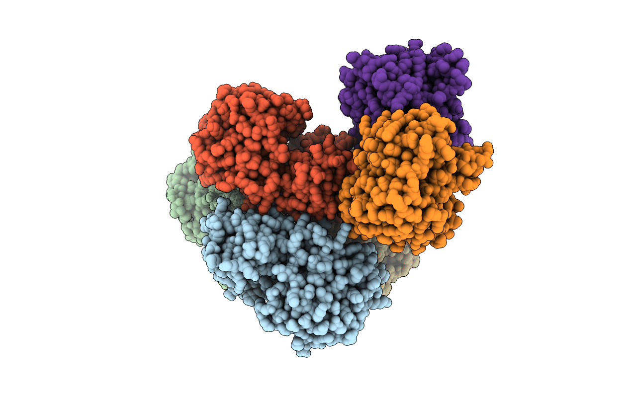 3I4C image