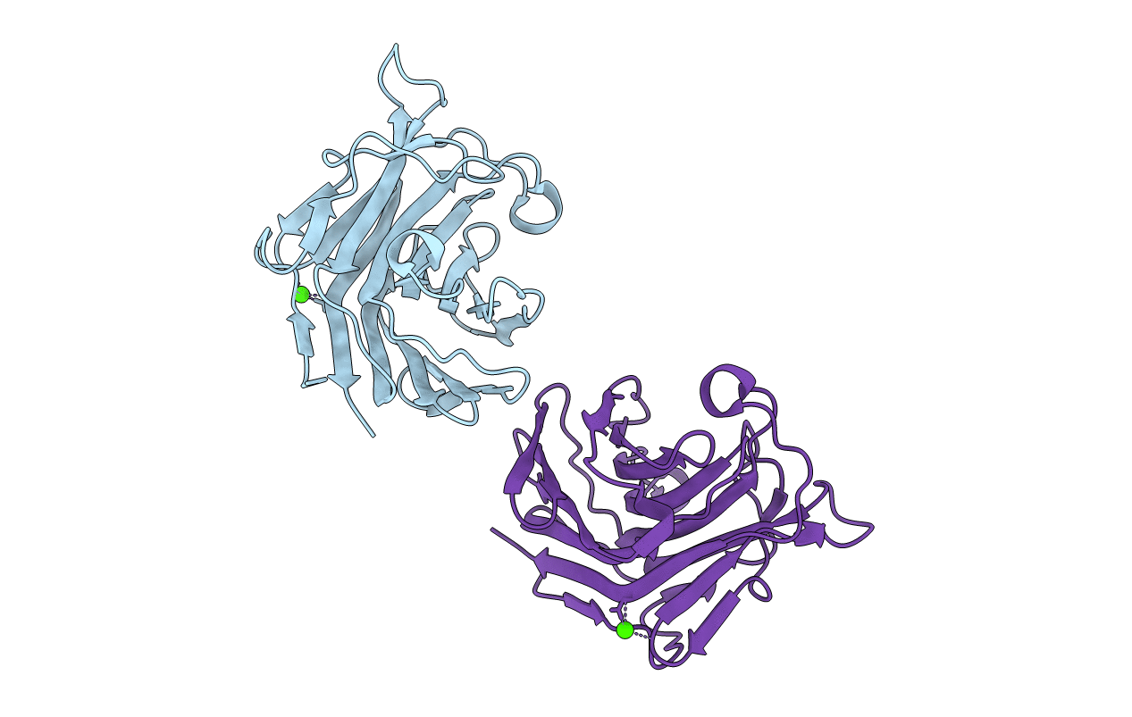 3I4I image