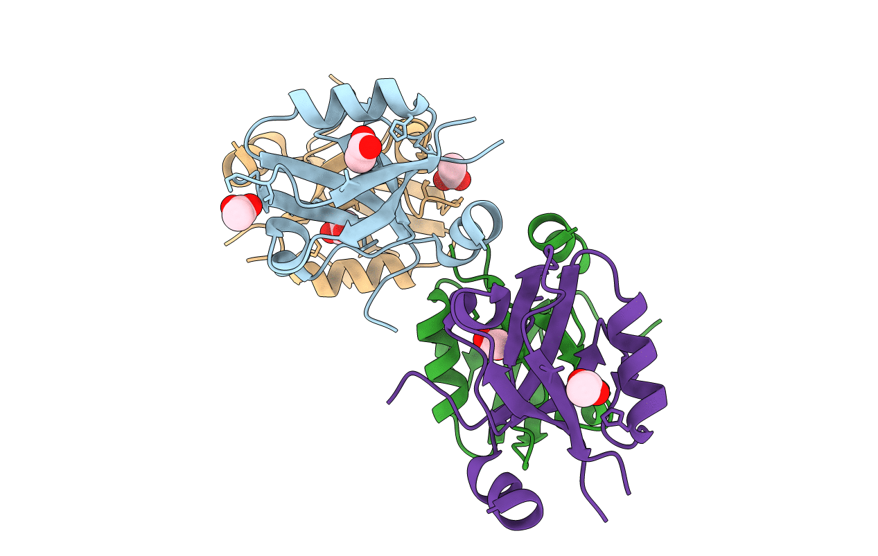 3I4W image
