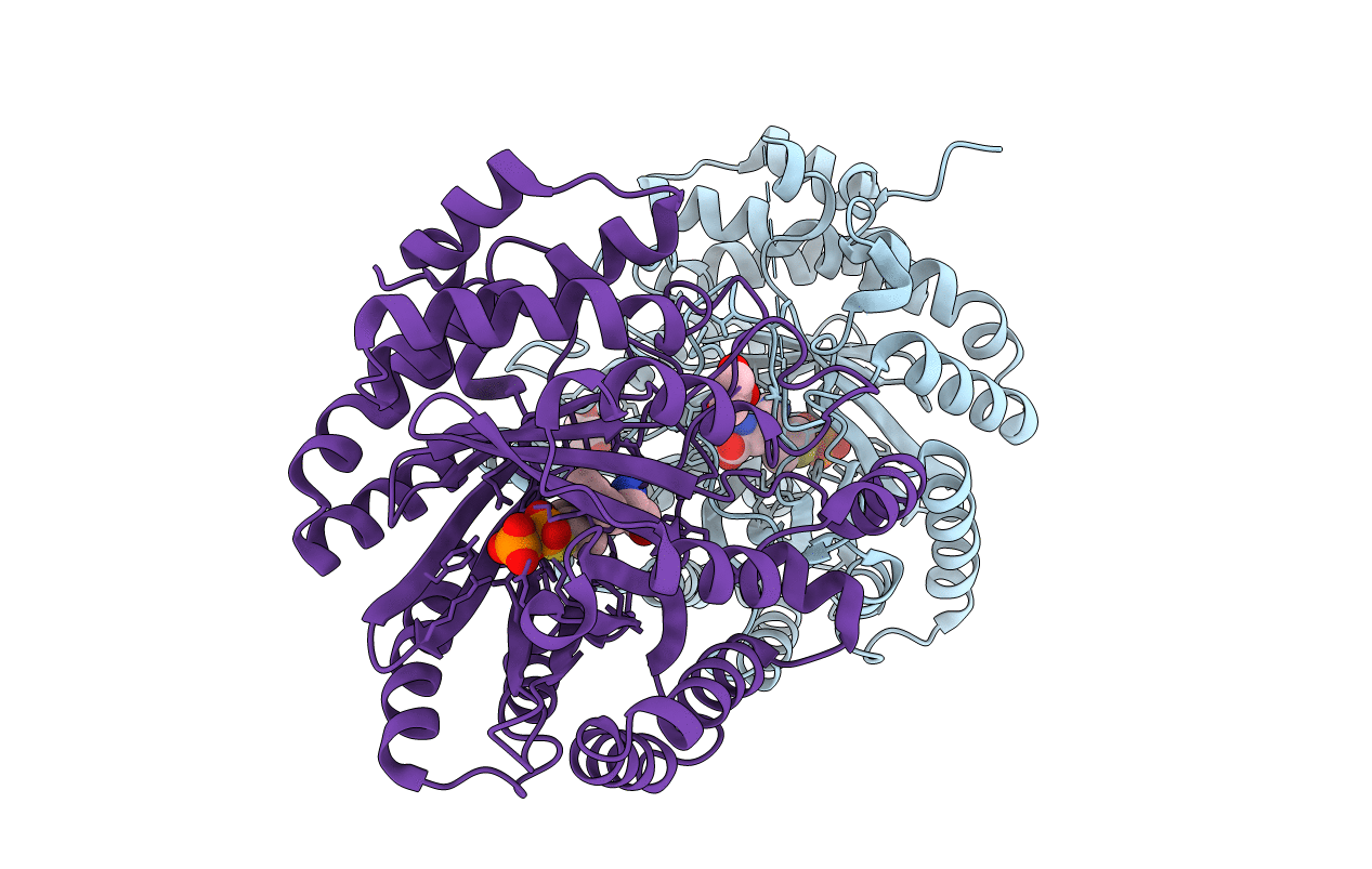 3I4X image
