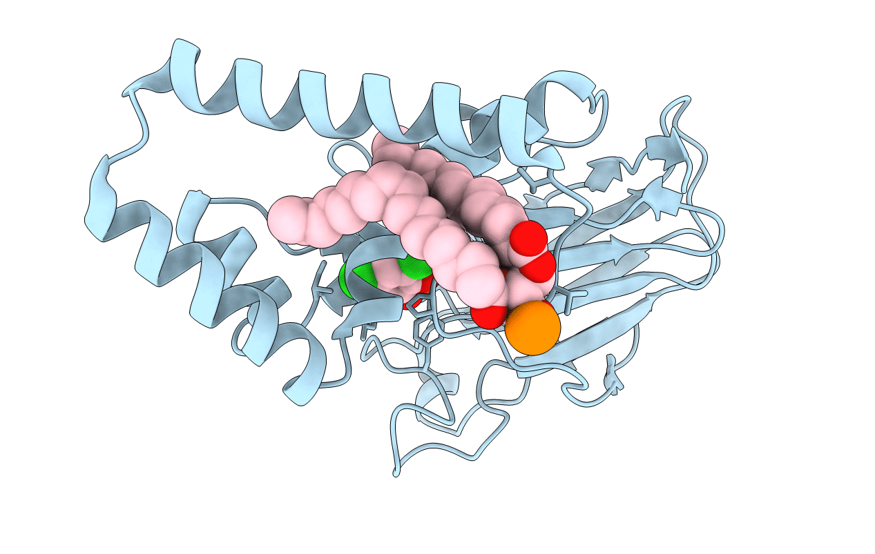 3I4Y image