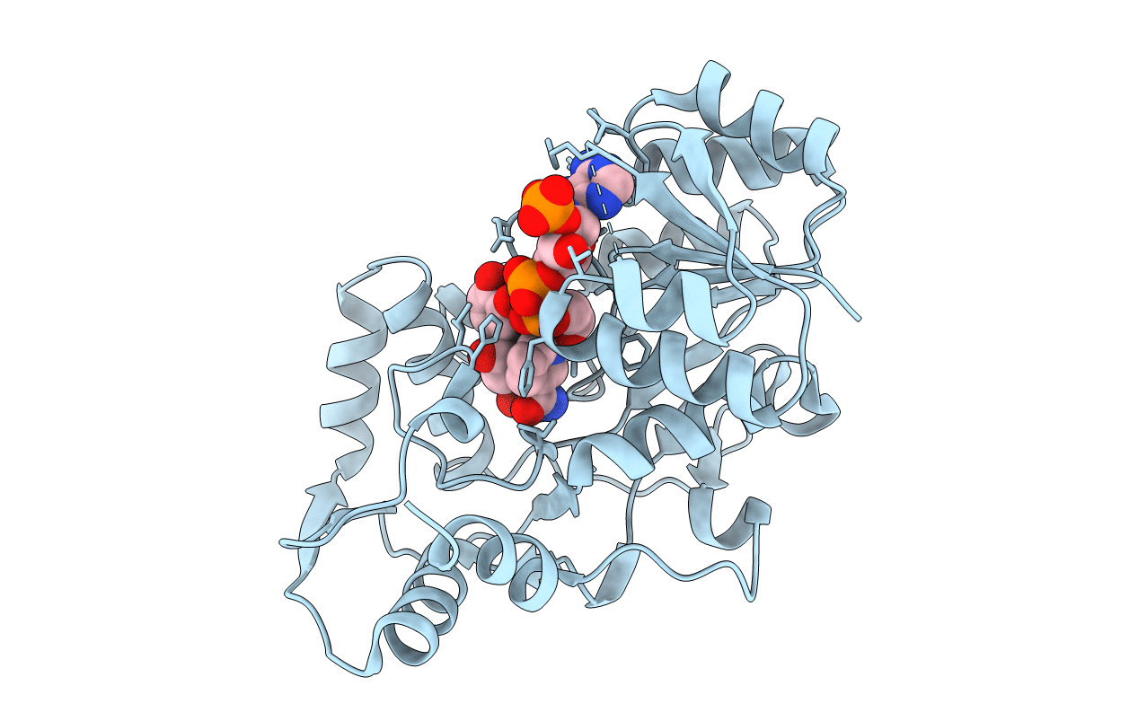 3I52 image