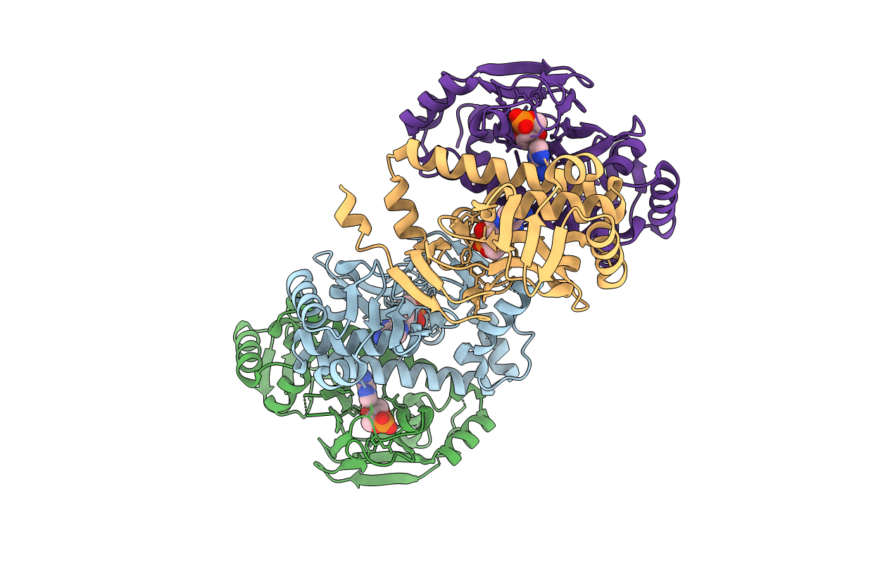 3I54 image