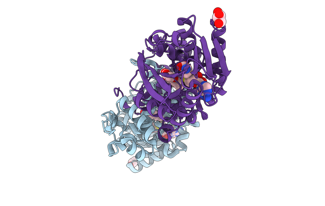 3I58 image