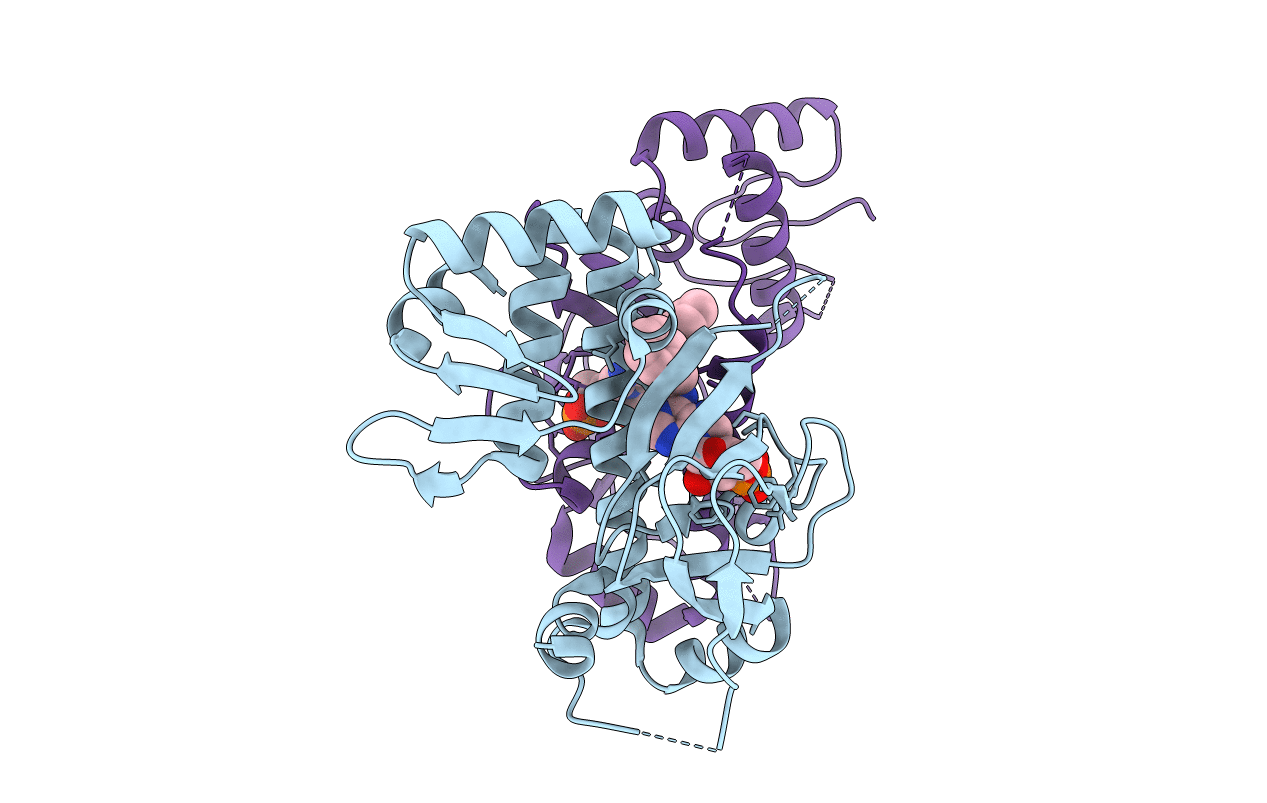3I59 image