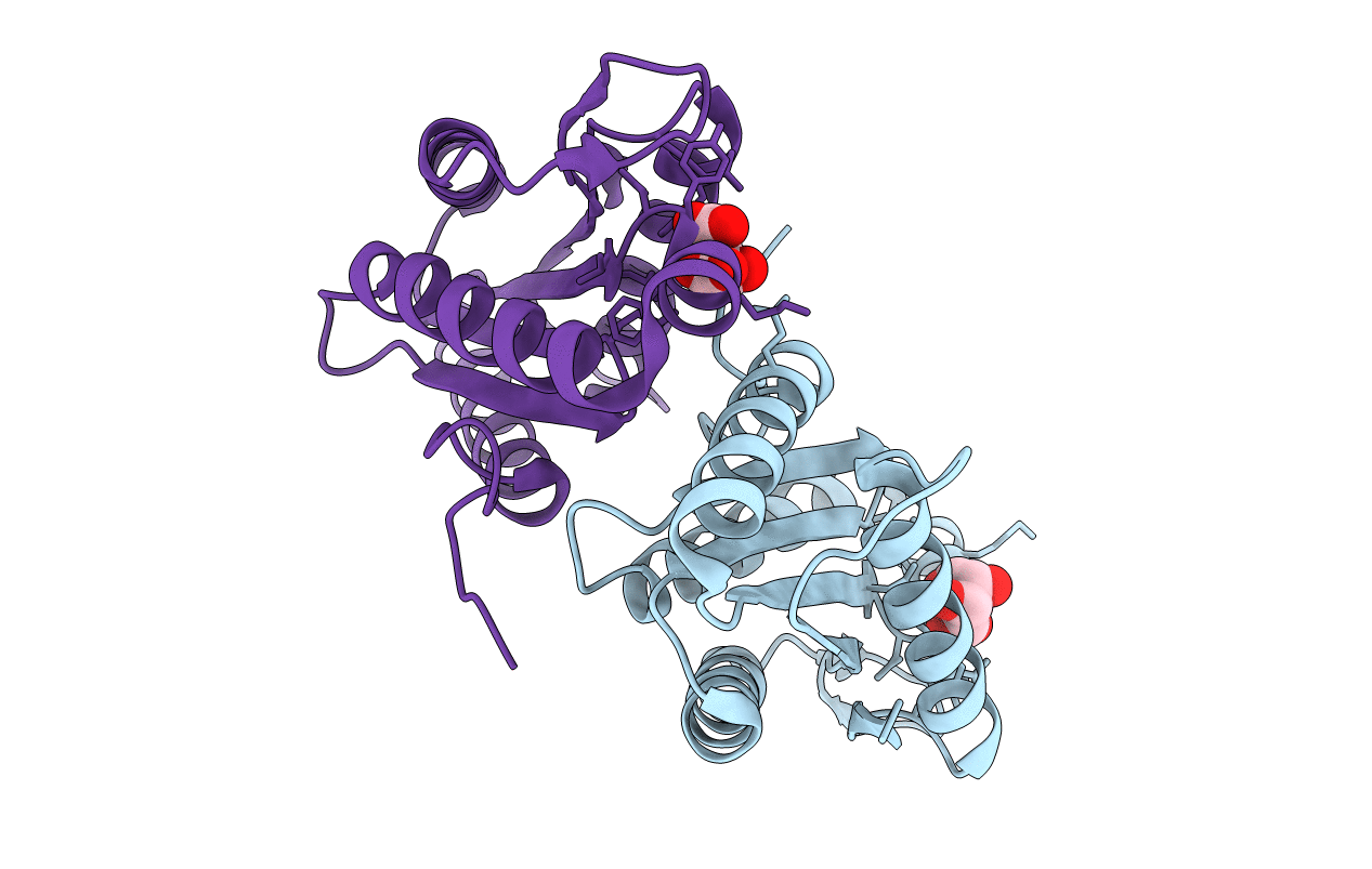 3I5B image