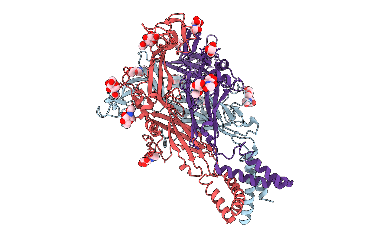 3I5D image