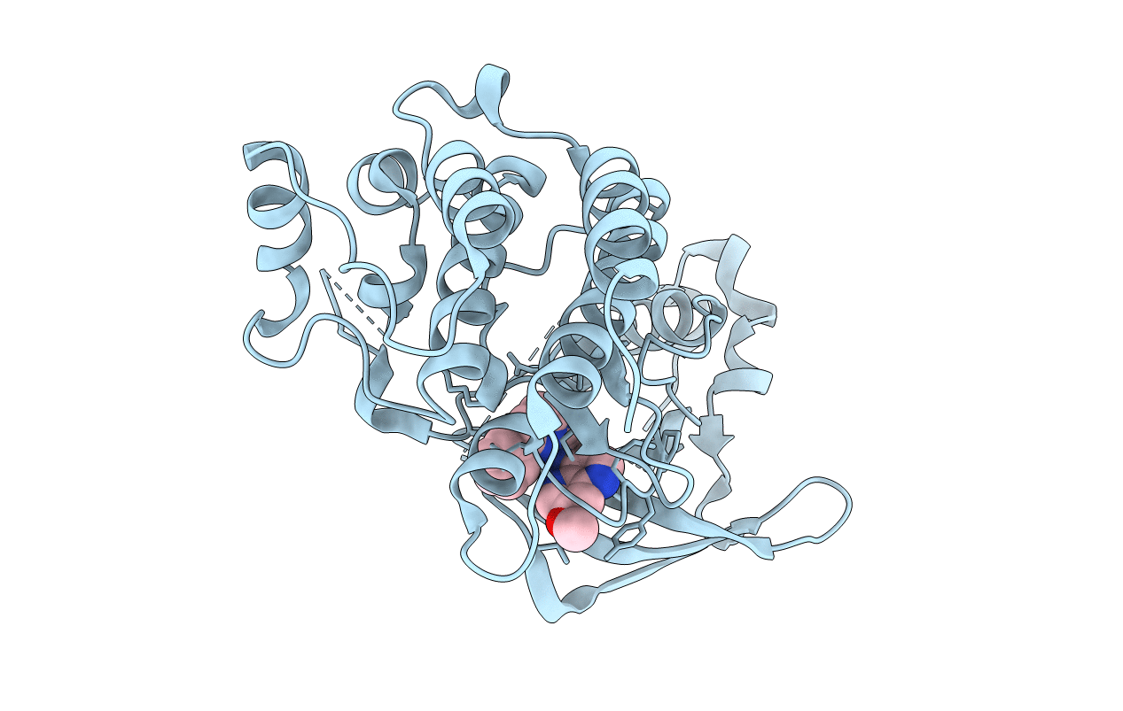 3I5N image