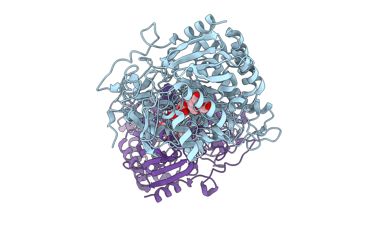 3I5O image