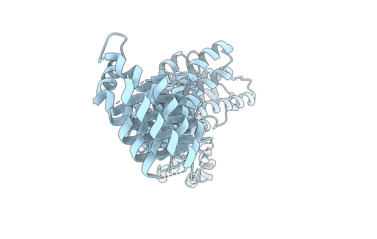 3I5P image