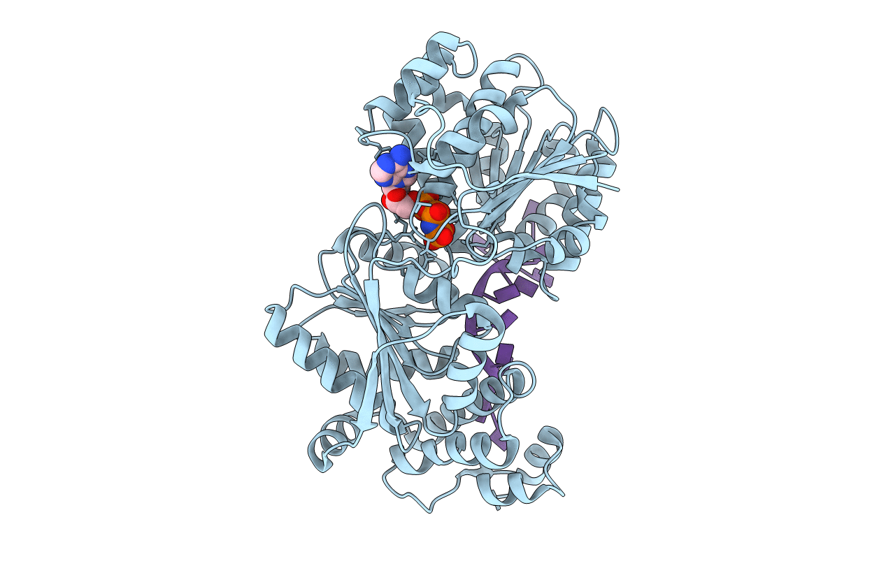 3I5Y image