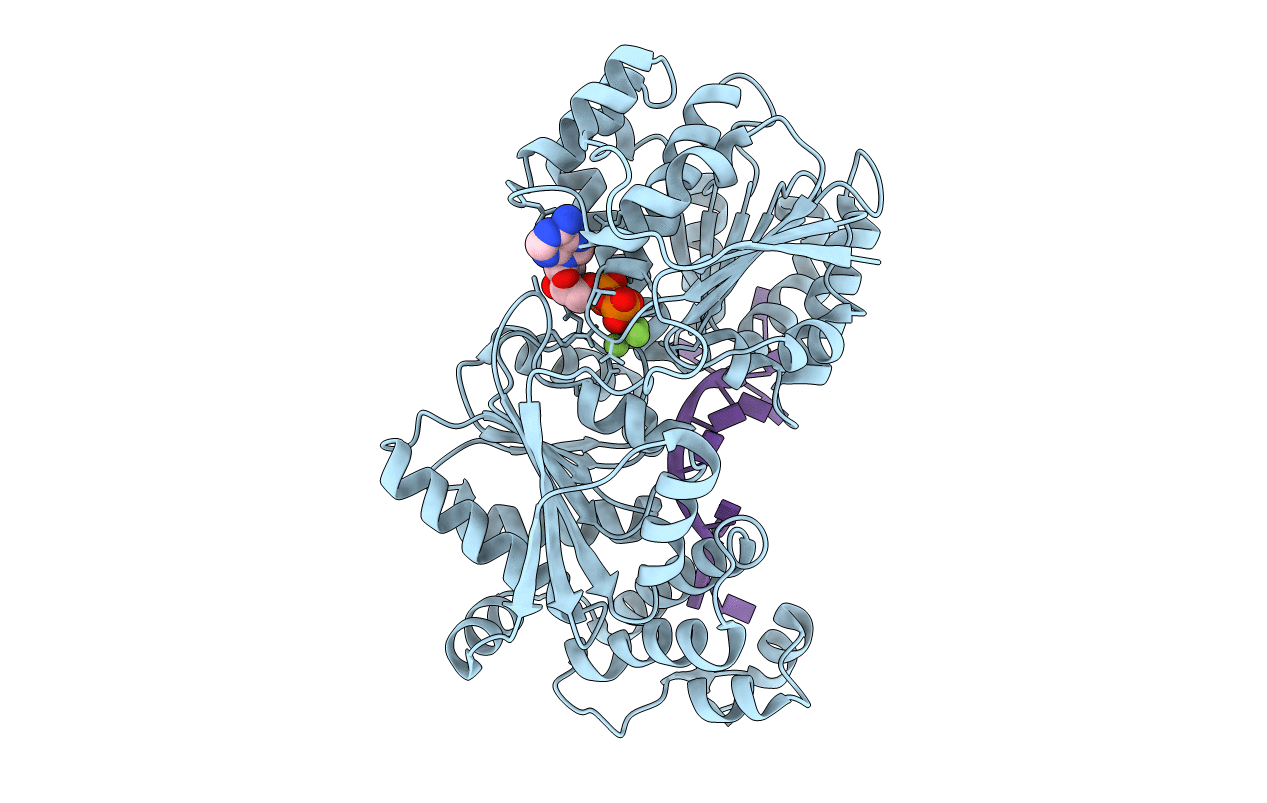 3I61 image