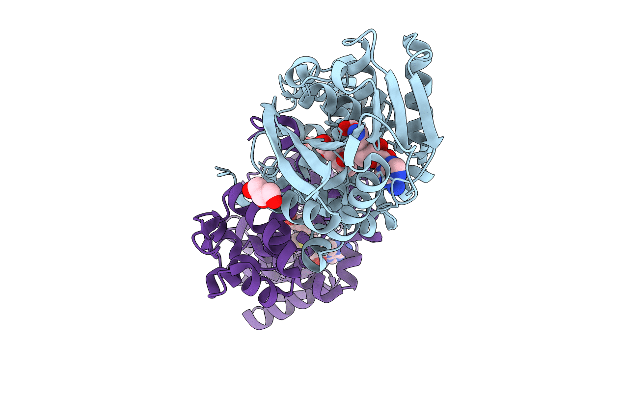 3I64 image