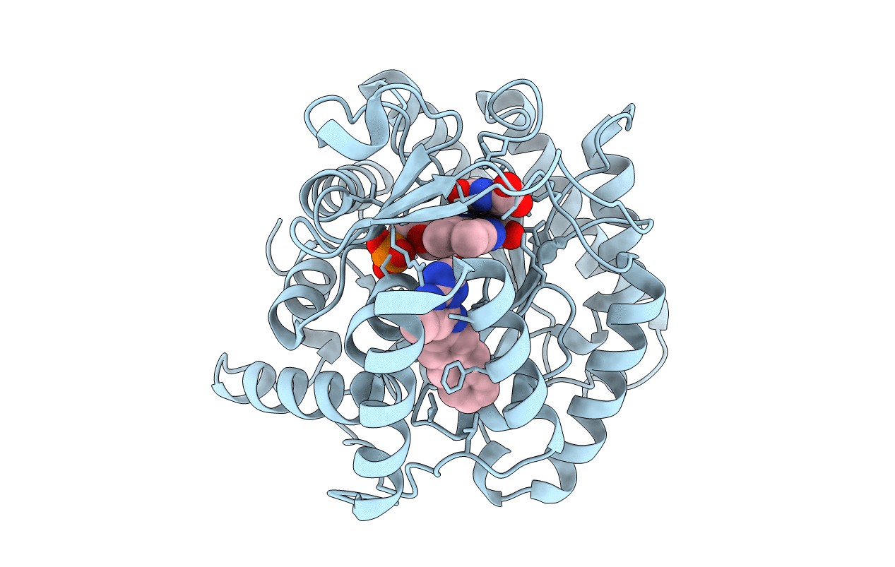 3I68 image