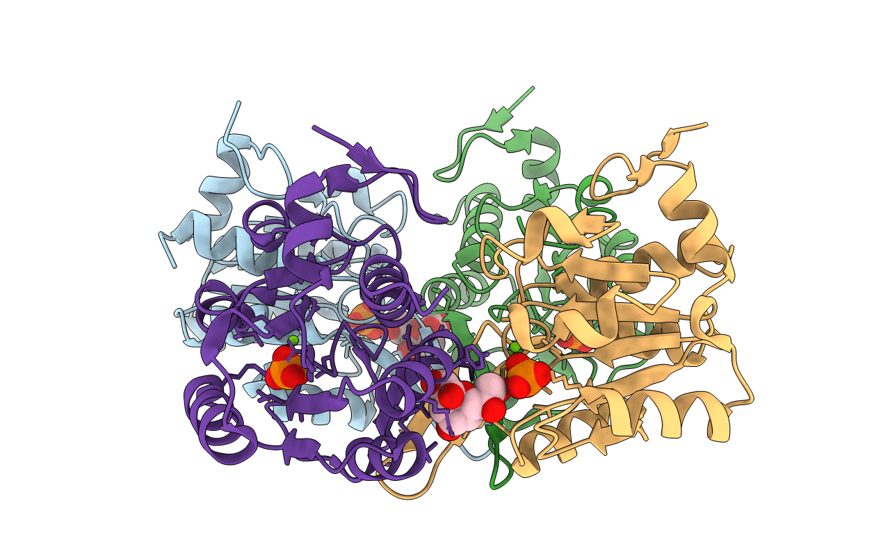 3I6B image