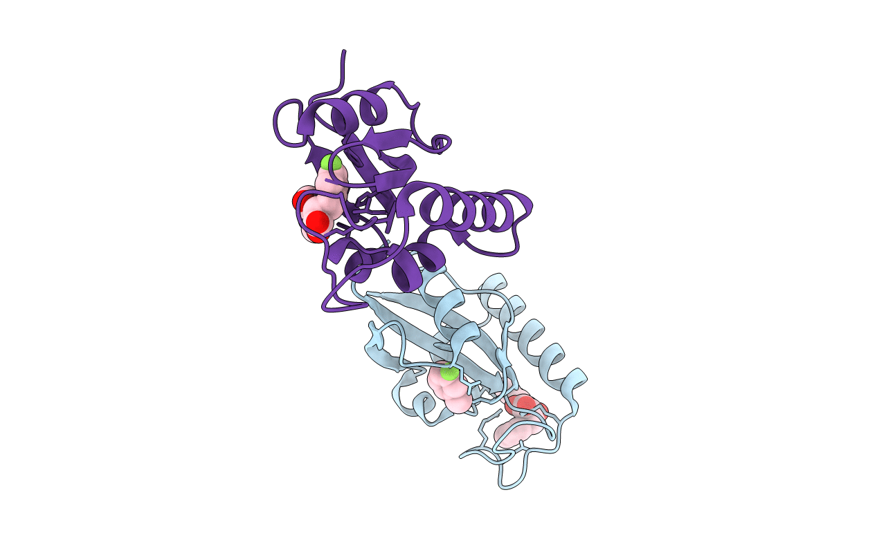 3I6C image