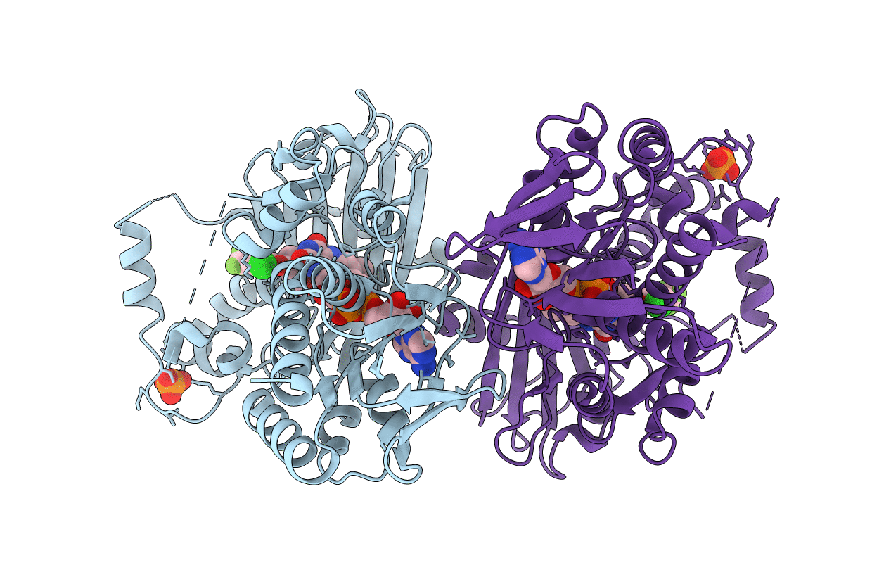 3I6D image
