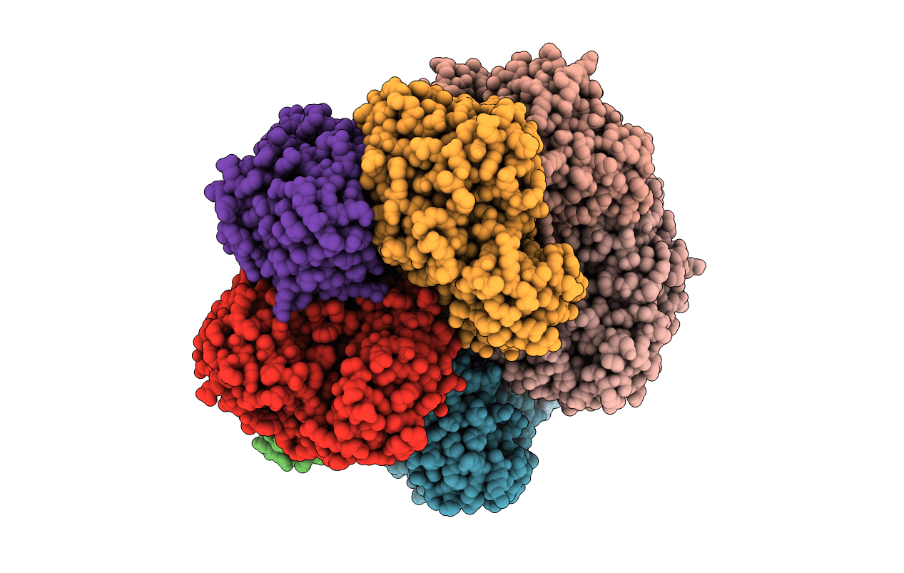 3I6E image