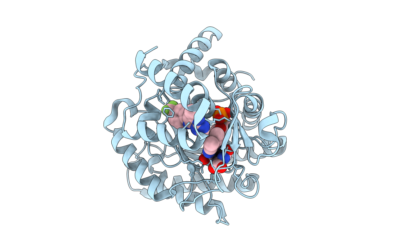3I6R image