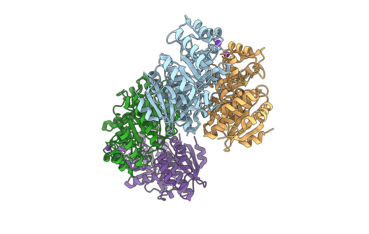 3I6T image