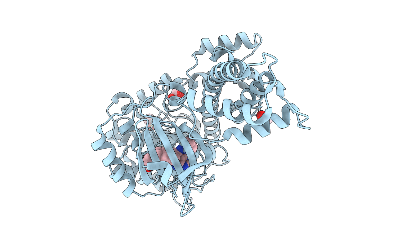 3I7B image