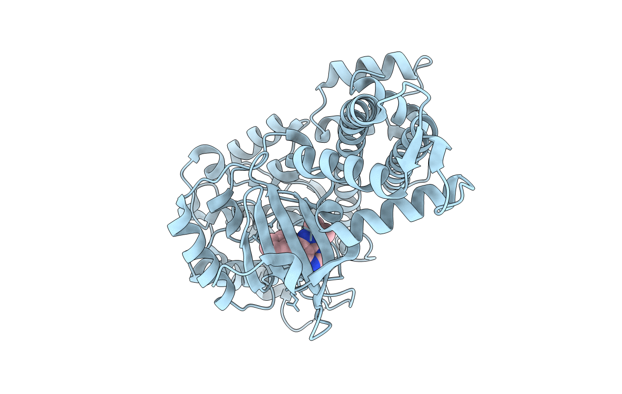 3I7C image