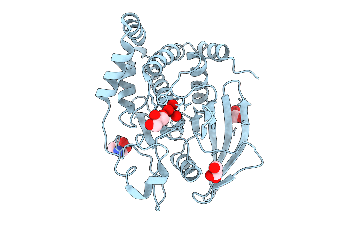 3I80 image