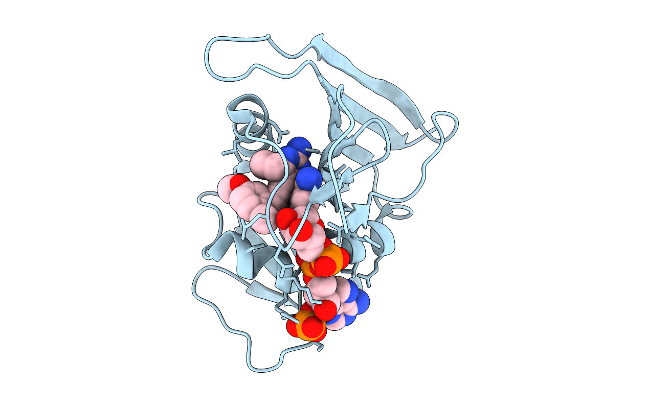 3I8A image