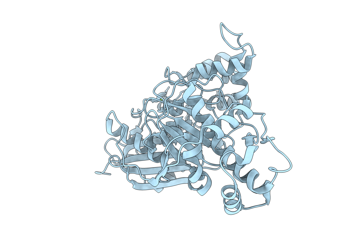 3I8B image