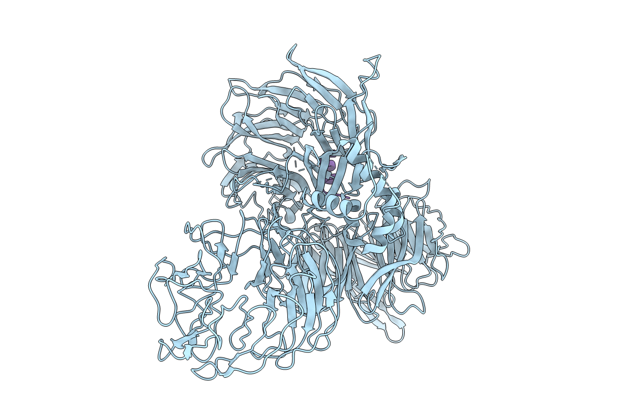 3I8C image