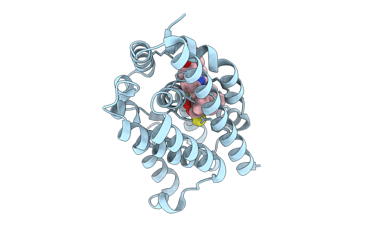 3I9T image