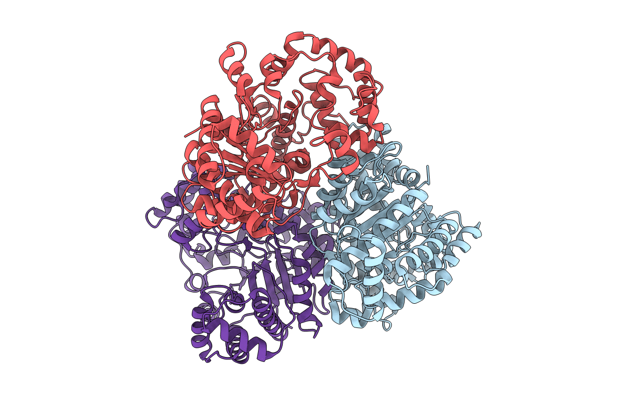 3IAC image
