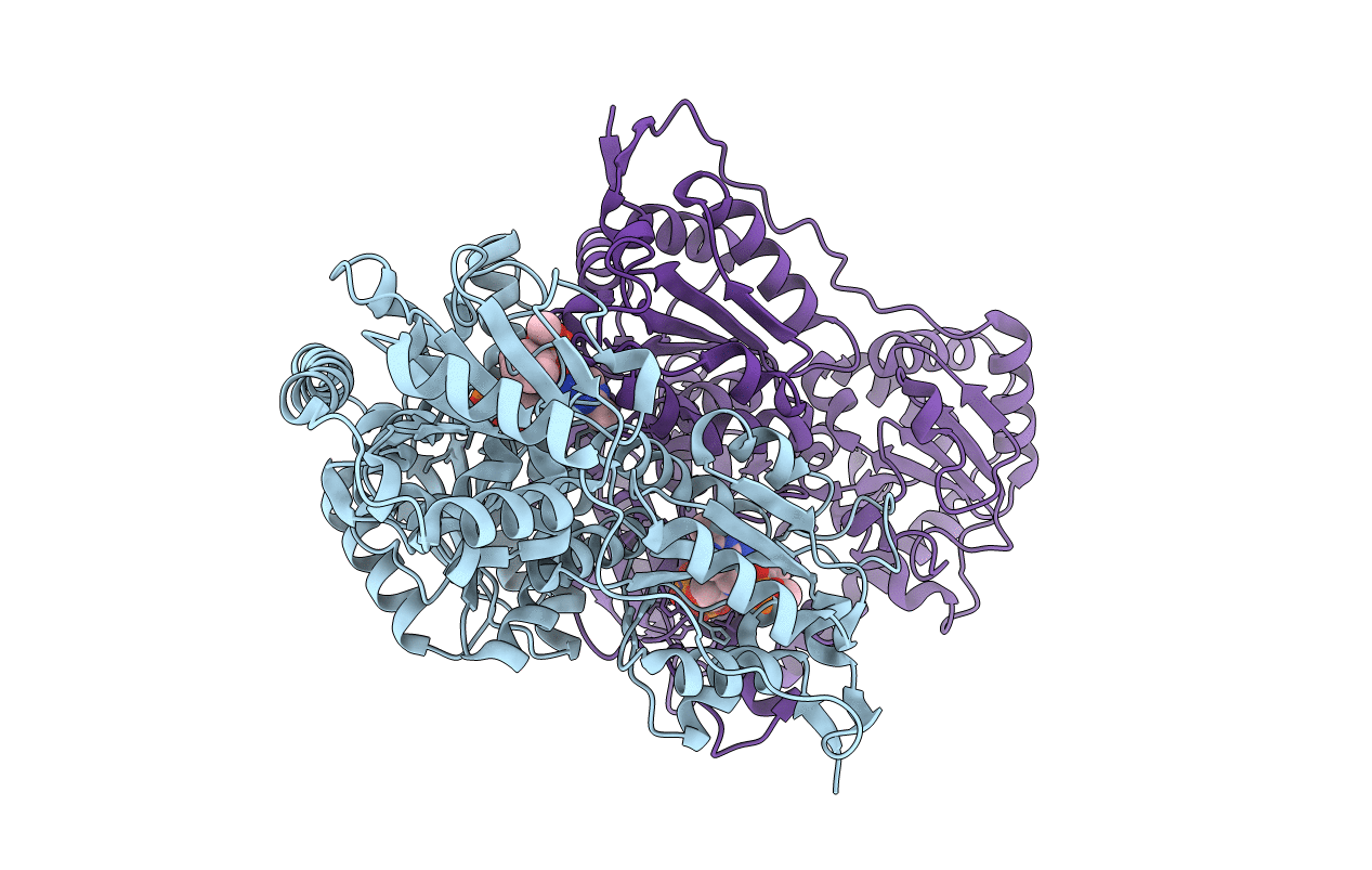 3IAE image
