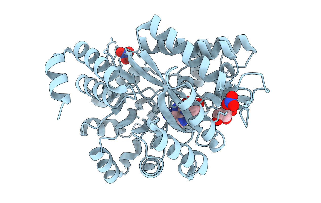 3IAR image